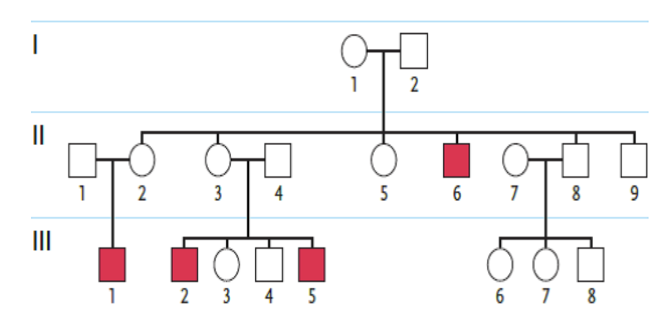 <p><span style="background-color: transparent; font-family: "Times New Roman", serif;"><span>77. Examine the pedigree in the figure above. Individuals affected by the genetic condition in question are indicated by filled squares or circles. Which inheritance pattern is most likely correct for this condition in this family?</span></span></p><table style="min-width: 75px;"><colgroup><col style="min-width: 25px;"><col style="min-width: 25px;"><col style="min-width: 25px;"></colgroup><tbody><tr><td colspan="1" rowspan="1" style="vertical-align: top; overflow: hidden; overflow-wrap: break-word;"><p><span style="background-color: transparent;"><span> </span></span></p></td><td colspan="1" rowspan="1" style="vertical-align: top; padding: 1.5pt 0pt; overflow: hidden; overflow-wrap: break-word;"><p><span style="background-color: transparent; font-family: "Times New Roman", serif;"><span>a. </span></span></p></td><td colspan="1" rowspan="1" style="vertical-align: top; padding: 1.5pt 20pt 1.5pt 0pt; overflow: hidden; overflow-wrap: break-word;"><p><span style="background-color: transparent; font-family: "Times New Roman", serif;"><span>autosomal dominant</span></span></p></td></tr><tr><td colspan="1" rowspan="1" style="vertical-align: top; overflow: hidden; overflow-wrap: break-word;"><p><span style="background-color: transparent;"><span> </span></span></p></td><td colspan="1" rowspan="1" style="vertical-align: top; padding: 1.5pt 0pt; overflow: hidden; overflow-wrap: break-word;"><p><span style="background-color: transparent; font-family: "Times New Roman", serif;"><span>b. </span></span></p></td><td colspan="1" rowspan="1" style="vertical-align: top; padding: 1.5pt 20pt 1.5pt 0pt; overflow: hidden; overflow-wrap: break-word;"><p><span style="background-color: transparent; font-family: "Times New Roman", serif;"><span>X-linked recessive</span></span></p></td></tr><tr><td colspan="1" rowspan="1" style="vertical-align: top; overflow: hidden; overflow-wrap: break-word;"><p><span style="background-color: transparent;"><span> </span></span></p></td><td colspan="1" rowspan="1" style="vertical-align: top; padding: 1.5pt 0pt; overflow: hidden; overflow-wrap: break-word;"><p><span style="background-color: transparent; font-family: "Times New Roman", serif;"><span>c. </span></span></p></td><td colspan="1" rowspan="1" style="vertical-align: top; padding: 1.5pt 20pt 1.5pt 0pt; overflow: hidden; overflow-wrap: break-word;"><p><span style="background-color: transparent; font-family: "Times New Roman", serif;"><span>X-linked dominant</span></span></p></td></tr><tr><td colspan="1" rowspan="1" style="vertical-align: top; overflow: hidden; overflow-wrap: break-word;"><p><span style="background-color: transparent;"><span> </span></span></p></td><td colspan="1" rowspan="1" style="vertical-align: top; padding: 1.5pt 0pt; overflow: hidden; overflow-wrap: break-word;"><p><span style="background-color: transparent; font-family: "Times New Roman", serif;"><span>d. </span></span></p></td><td colspan="1" rowspan="1" style="vertical-align: top; padding: 1.5pt 20pt 1.5pt 0pt; overflow: hidden; overflow-wrap: break-word;"><p><span style="background-color: transparent; font-family: "Times New Roman", serif;"><span>cytoplasmic inheritance</span></span></p></td></tr><tr><td colspan="1" rowspan="1" style="vertical-align: top; overflow: hidden; overflow-wrap: break-word;"><p><span style="background-color: transparent;"><span> </span></span></p></td><td colspan="1" rowspan="1" style="vertical-align: top; padding: 1.5pt 0pt; overflow: hidden; overflow-wrap: break-word;"><p><span style="background-color: transparent; font-family: "Times New Roman", serif;"><span>e. </span></span></p></td><td colspan="1" rowspan="1" style="vertical-align: top; padding: 1.5pt 20pt 1.5pt 0pt; overflow: hidden; overflow-wrap: break-word;"><p><span style="background-color: transparent; font-family: "Times New Roman", serif;"><span>autosomal recessive</span></span></p></td></tr></tbody></table><p></p>