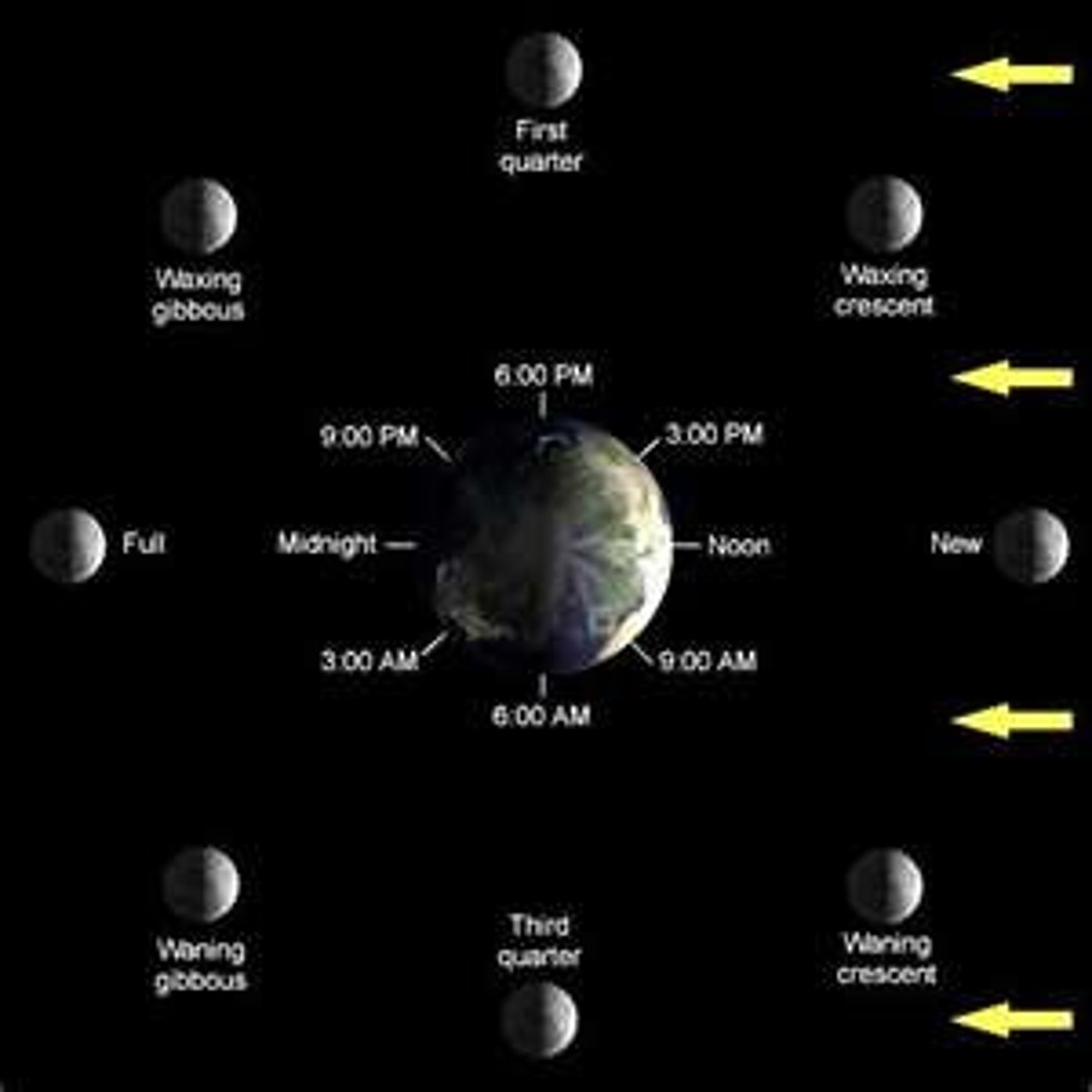<p>A sequence of phases of the moon as it revolves around the Earth once every 29.5 days.</p>