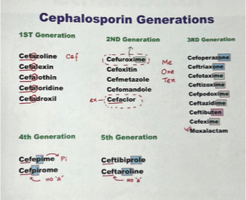 <p>5th generation cepahlosporins</p>
