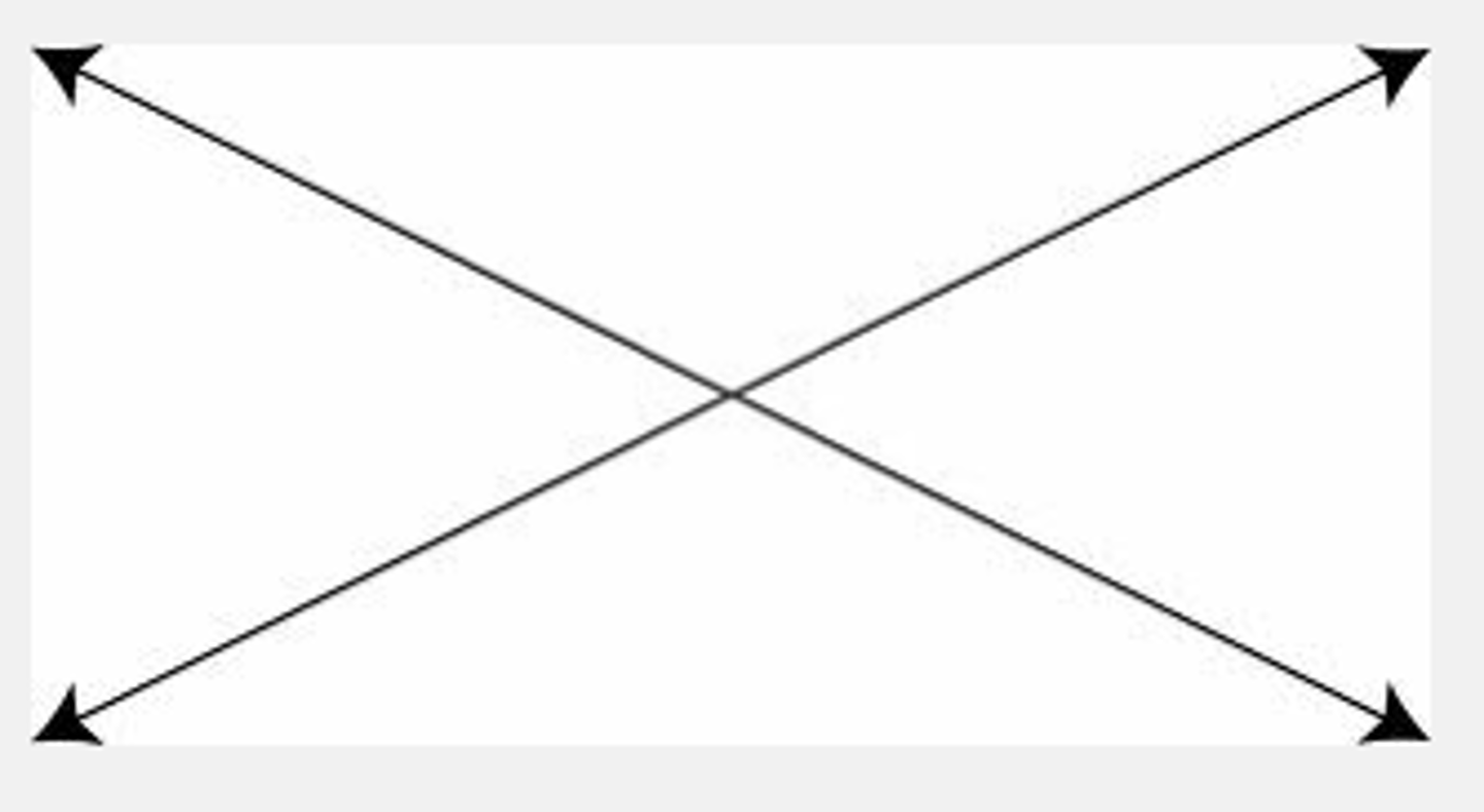 <p>(n.) /ˌɪn.təˈsek.ʃən/ the point at which two lines or roads meet and cut across each other - ngã tư/ sự giao chéo, cắt </p><p>E.g Times Square is one of New York's busiest ...............(s).</p>