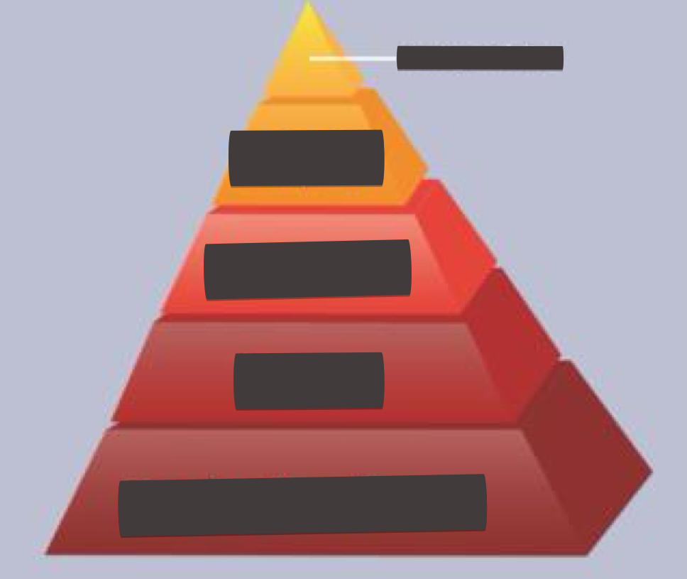 <p>what belongs in the pyramid from bottom to top</p>