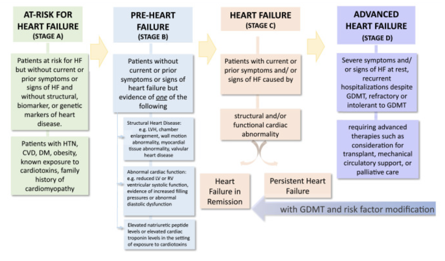 <p>Classifications of heart failure</p>