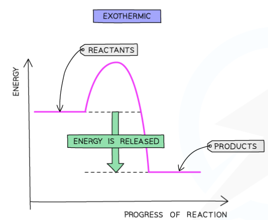 <ul><li><p>energy is given out in exothermic reactions</p></li><li><p>the energy of the products will be lower than the energy of the reactants</p></li><li><p>so the change in energy is negative</p></li><li><p>this is represented on the reaction profile with a downwards arrow</p></li><li><p>horizontal line to the left of the negative curve is the reactants</p></li><li><p>horizontal line to the right of the negative curve is the products</p></li><li><p>activation energy is the maximum value of the curve</p></li></ul><p></p>