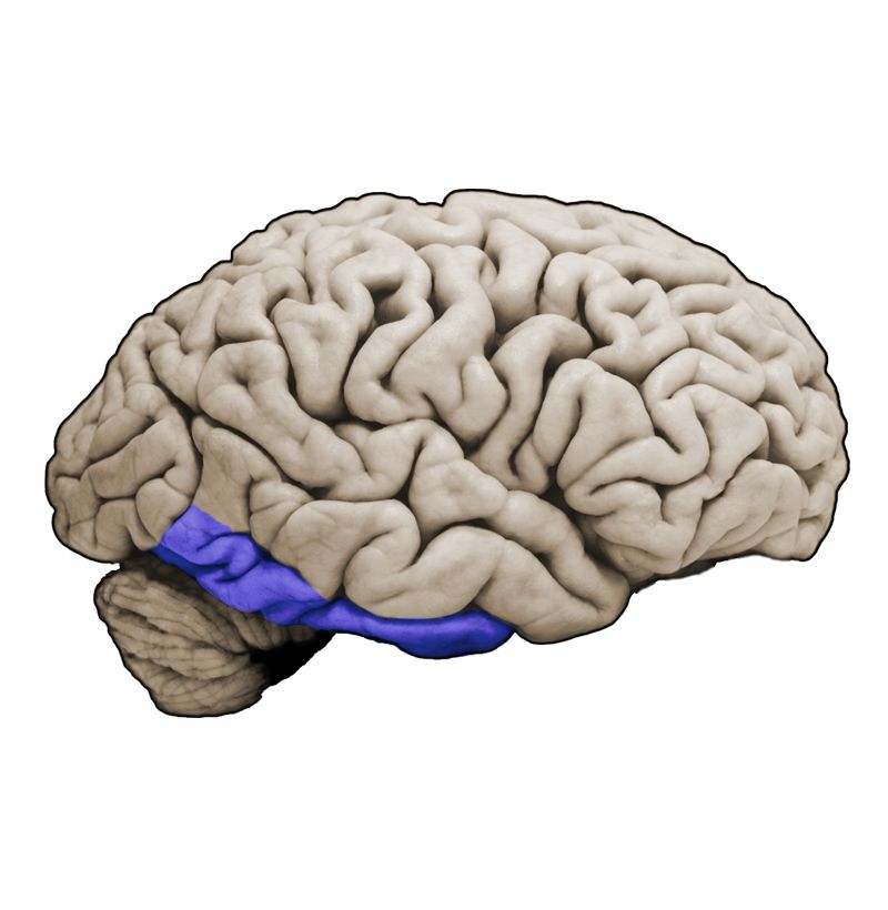 <p>What structure is this?</p>