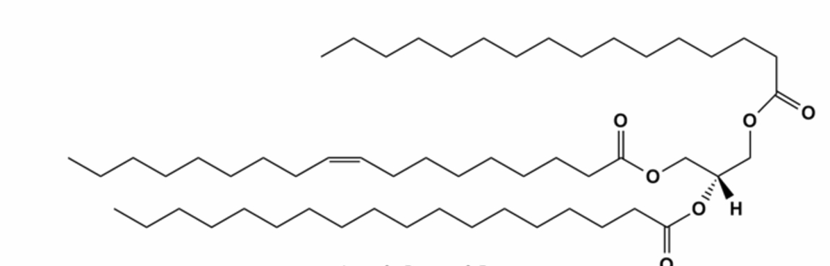 <p>what is this lipid and what is its function</p>