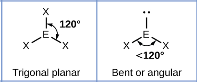 <p>Adding a lone pair decreases the bond angles by about 2.5*</p>