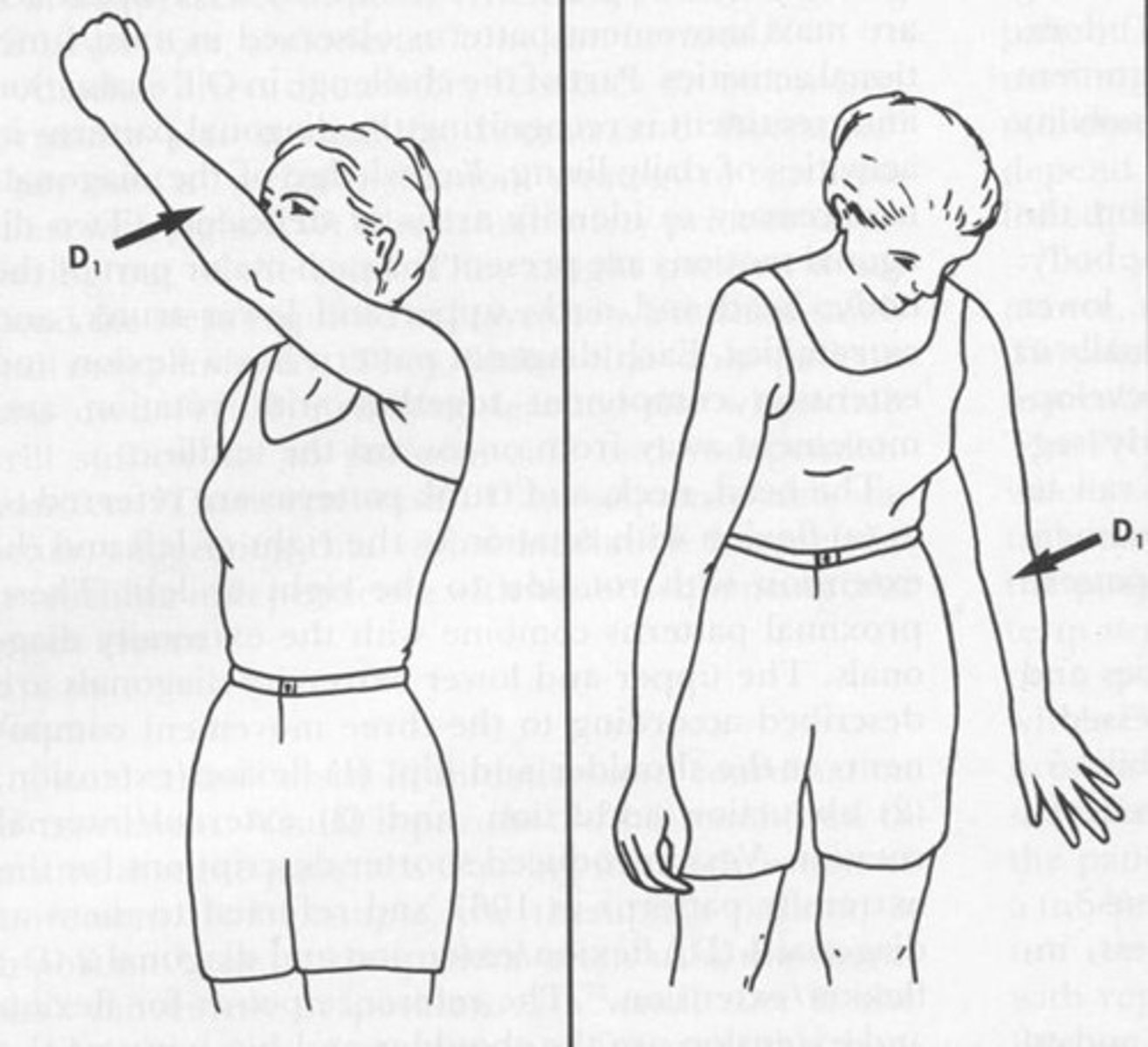 <p>Shoulder: Ext, ABD and IR</p><p>Forearm: pronated</p><p>Wrist: ulnarly extended</p><p>(pushing away the bad food)</p>