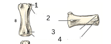 <p>4</p>