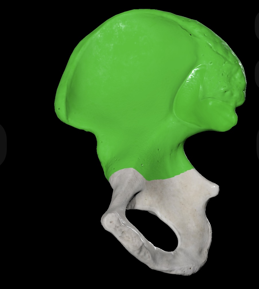 term image