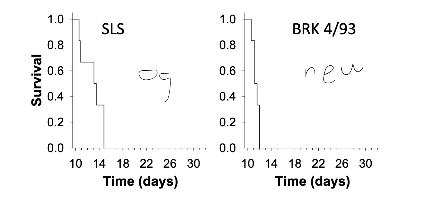 <ol><li><p>Infecting Australian rabbits it began with the release of a highly virulent virus</p></li><li><p>Followed by the evolution of a reduced/ intermediate virus</p></li><li><p>Evolution of host resistance </p></li><li><p>Current evolution of acute virulence through a novel disease phenotype, an immune collapse syndrome similar to septic shock</p></li></ol><p></p>