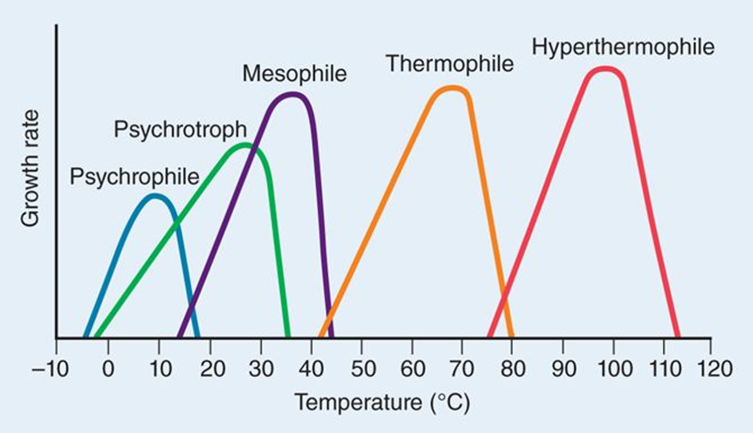 <p><span style="font-family: "Wingdings 2";"><span></span></span><span><span>optimum temperature between -5 – 15°C</span></span></p>