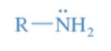 <p>alkylated derivatives of ammonia</p>