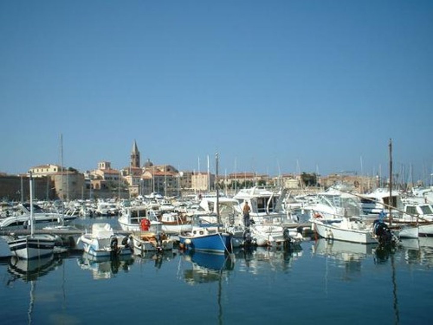 <p>harbor</p>