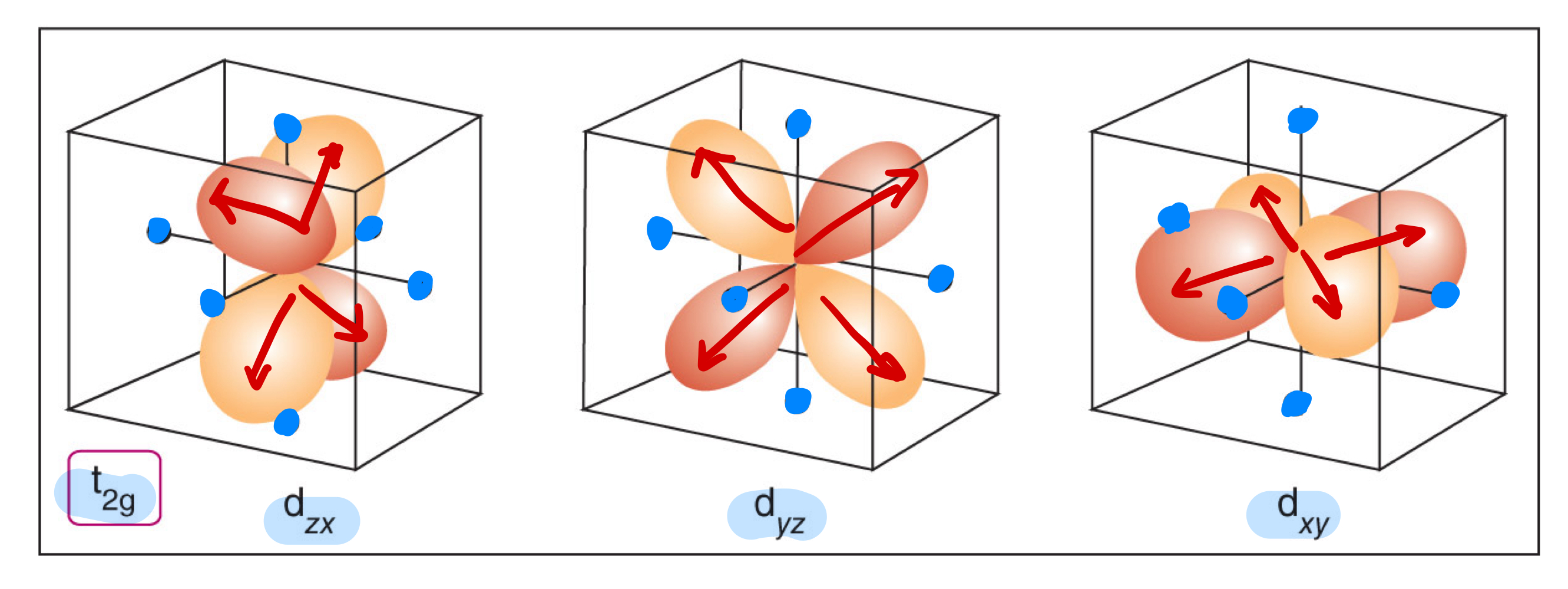 knowt flashcard image