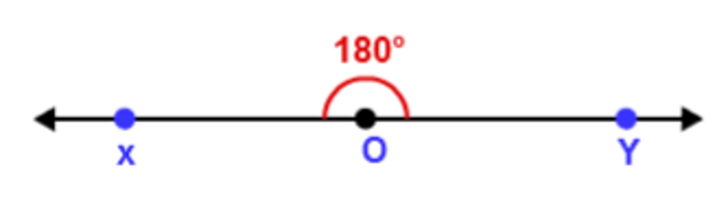<p>an angle that measures 180 degrees</p>