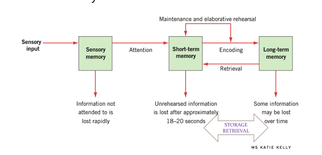 <img src="https://knowt-user-attachments.s3.amazonaws.com/aa3fd4ce-0f2f-4d02-8cbf-39666f1e3c92.png" data-width="100%" data-align="center"><p></p>