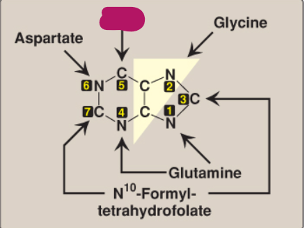 <p>What compound contributes these atoms to a purine ring?</p>