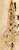 <p>What is the name of this bone in the skull?</p>