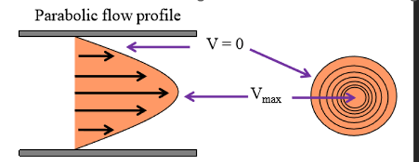 <p>The center of the vessel (no interaction with vessel wall)</p><p></p>