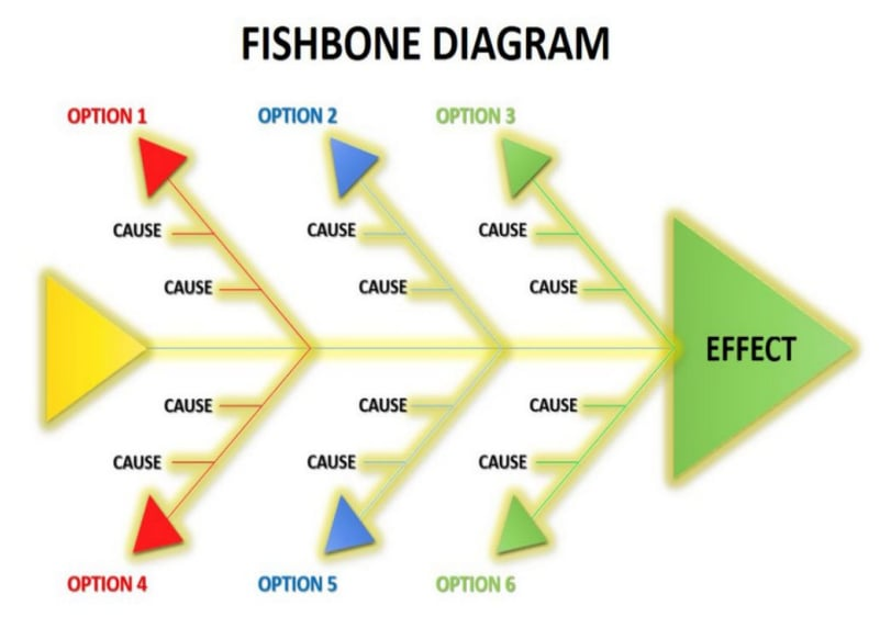 <p>Identify what type of organizer is this:</p>