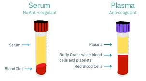 <ul><li><p>Serum- blood clots naturally, remaining liquid is serum (contains no anticoagulants)</p></li><li><p>Plasma- blood mixed with anticoagulant (blood minus cells)</p></li></ul><p></p>
