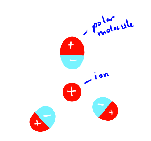 <p>Forces of attraction between an ion and polar molecule.</p><p>It’s temporary</p><p>(eg) Na+ <sub>(aq)</sub></p><p>Strength depends on Coulomb’s Law</p><ul><li><p>Radii of ion</p></li><li><p>Charge of ion</p></li><li><p>Polar molecule dipole&nbsp;</p></li></ul><p></p>