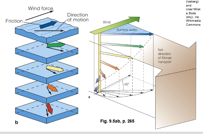 <p>surface water has a net movement of 90 degrees to the right of the wind direction </p>