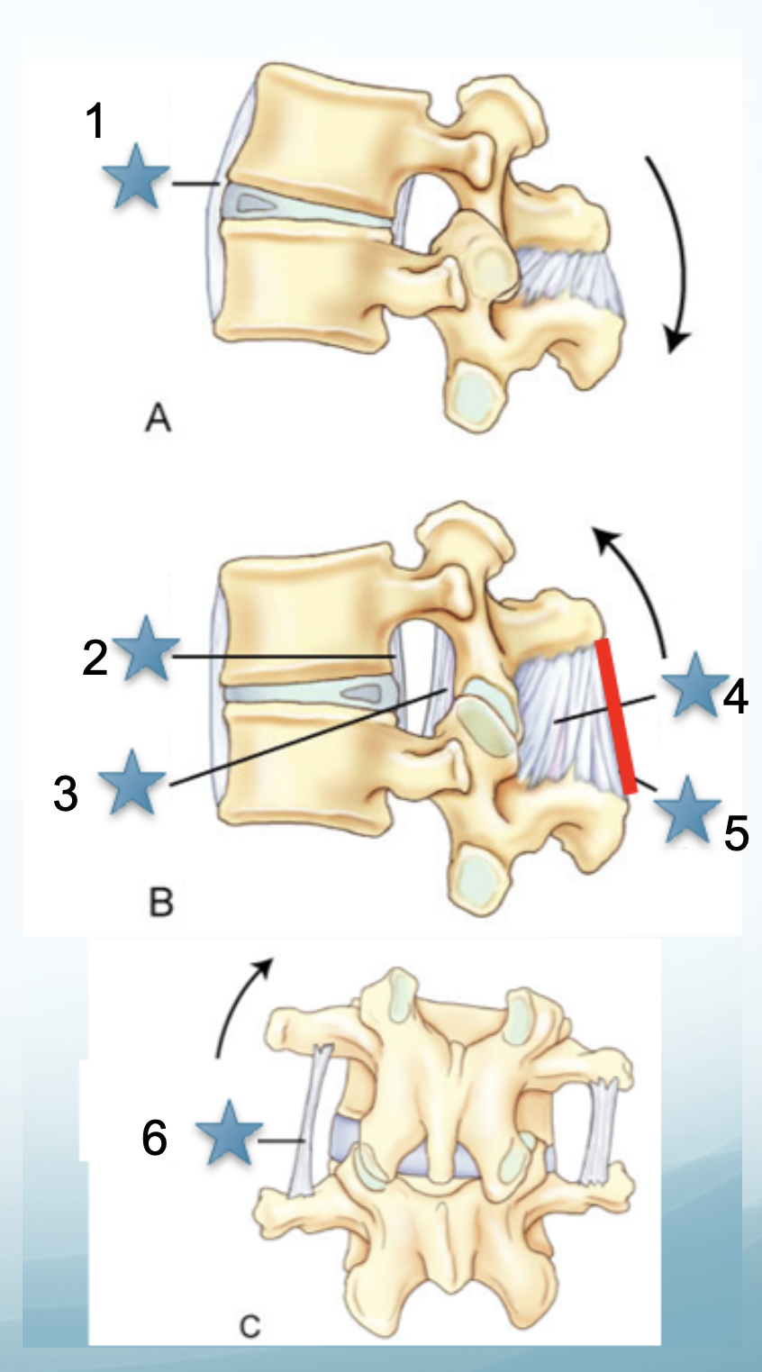 <p>3</p>