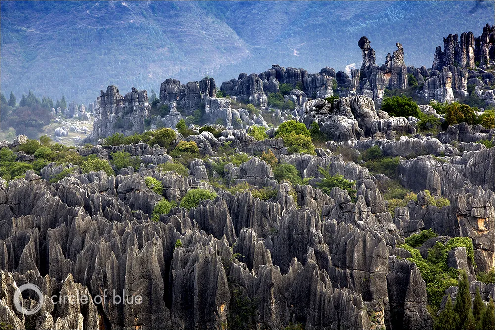 <p>What is this </p>