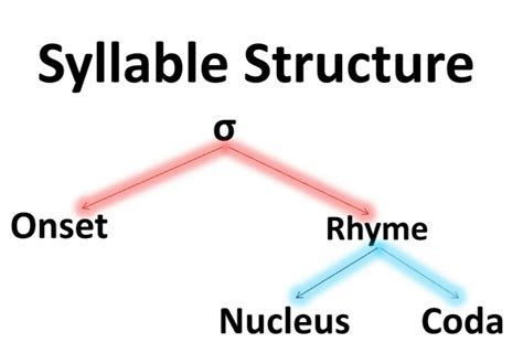 <p><span>A </span><strong><span>bigger unit than a phoneme</span></strong><span>, contains 3 mains zones : </span><strong><span>onset</span></strong><span> (consonant, optional), </span><strong><span>nucleus</span></strong><span> (vowel, necessary) and </span><strong><span>Coda</span></strong><span> (consonant, optional). In word stress, the syllable is the unit we use.</span></p>