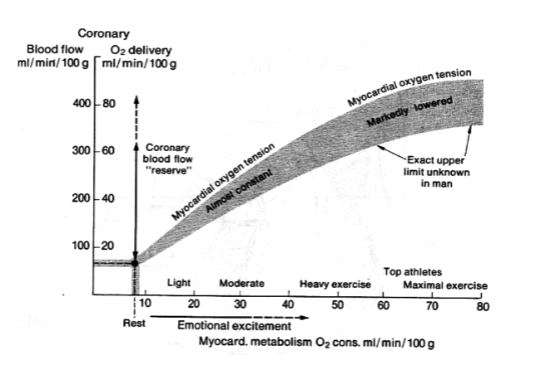 <p>coronary flow </p>