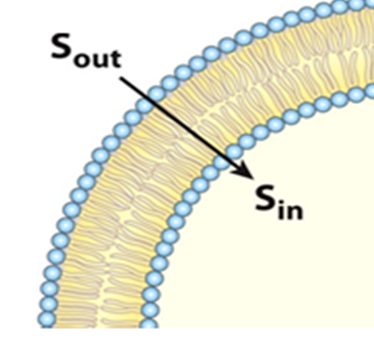 <p>¿Qué tipo de transporte es el que se representa en la imagen? </p>