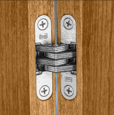 <p>A hinge so constructed that no parts are exposed when the door is closed. A famous brand name is SOSS.</p>