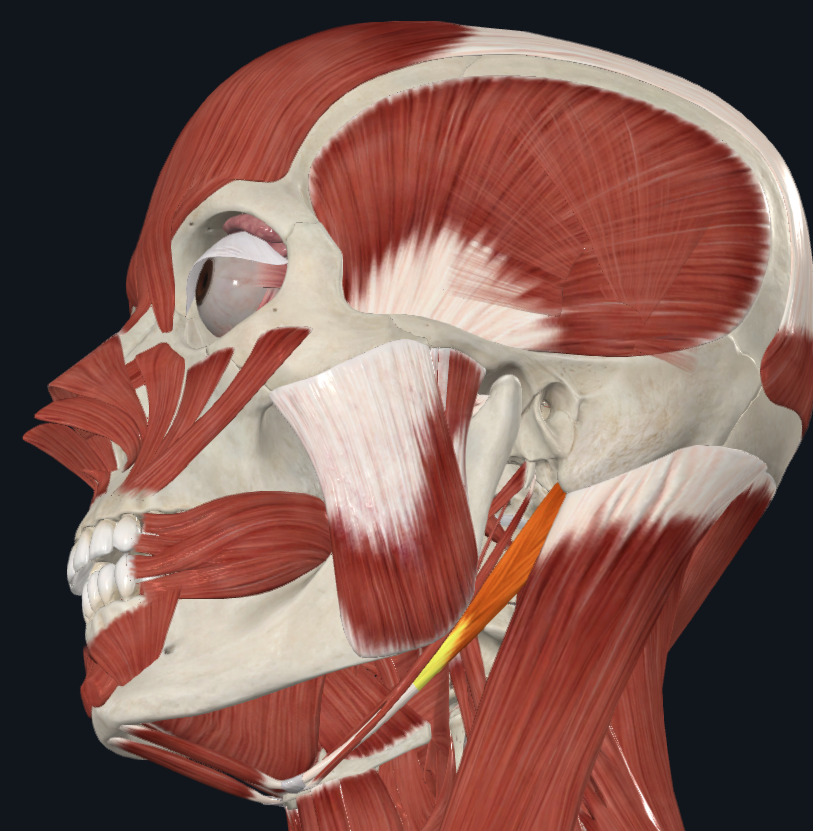 <p>What is highlighted</p>