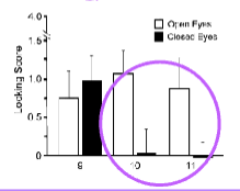 <p>Social cognition: </p><ul><li><p class="">Develops around <strong>9–12 months</strong></p></li><li><p class=""><strong>Foundation</strong> for developing <strong>joint attention</strong> (RJA &amp; IJA)</p></li><li><p class="">RJA and IJA are <strong>correlated</strong> in development</p></li></ul><p> </p><p><span data-name="small_blue_diamond" data-type="emoji">🔹</span> Key Study (Brooks &amp; Meltzoff, 2005): </p><ul><li><p class="">At <strong>10–11 months</strong>, infants show <strong>social awareness of the meaning of looking</strong></p></li><li><p class="">Look longer when adult’s <strong>eyes are open</strong> vs. <strong>closed</strong> ➝ evidence of <strong>social interpretation</strong></p></li></ul><p></p>