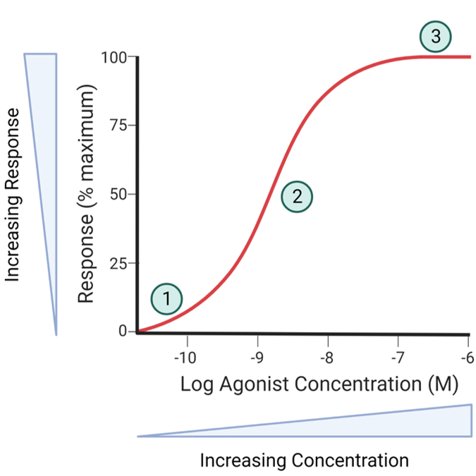 <p>What happens at 2?</p>
