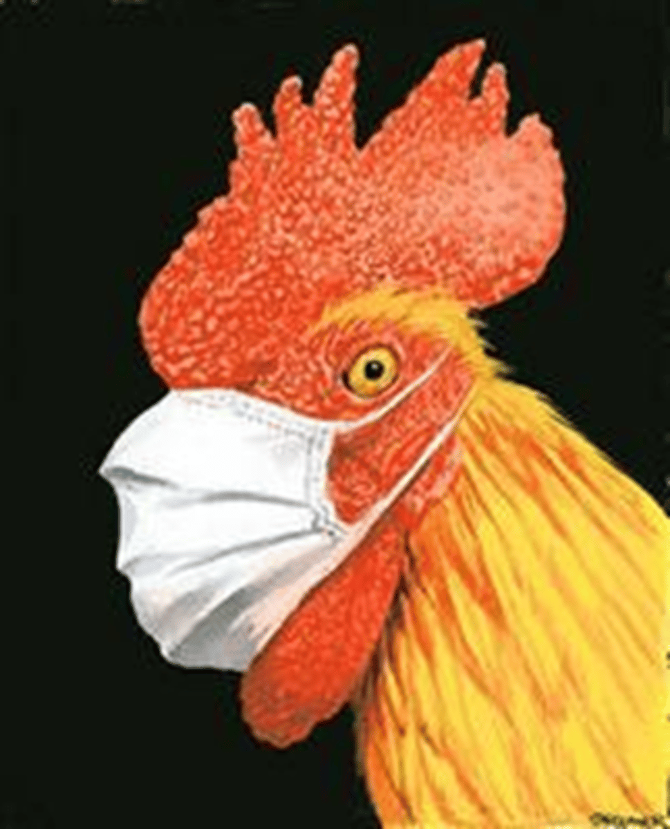 <p>cúm gia cầm</p><p>= bird flu</p><p>avian (adj) thuộc chim/ gia cầm (avian migration: sự di cư của chim)</p><p>ex: The H5N1 strain of avian flu is particularly dangerous to humans.→ Chủng H5N1 của cúm gia cầm đặc biệt nguy hiểm đối với con người.</p>