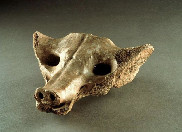 <p>14000-7000 BCE, Bone, Tequixquiac Mexico</p>