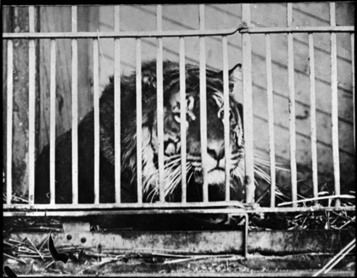 <p>to hold it together, contain, keep, enclose, restrain</p>