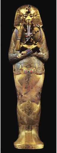 term image