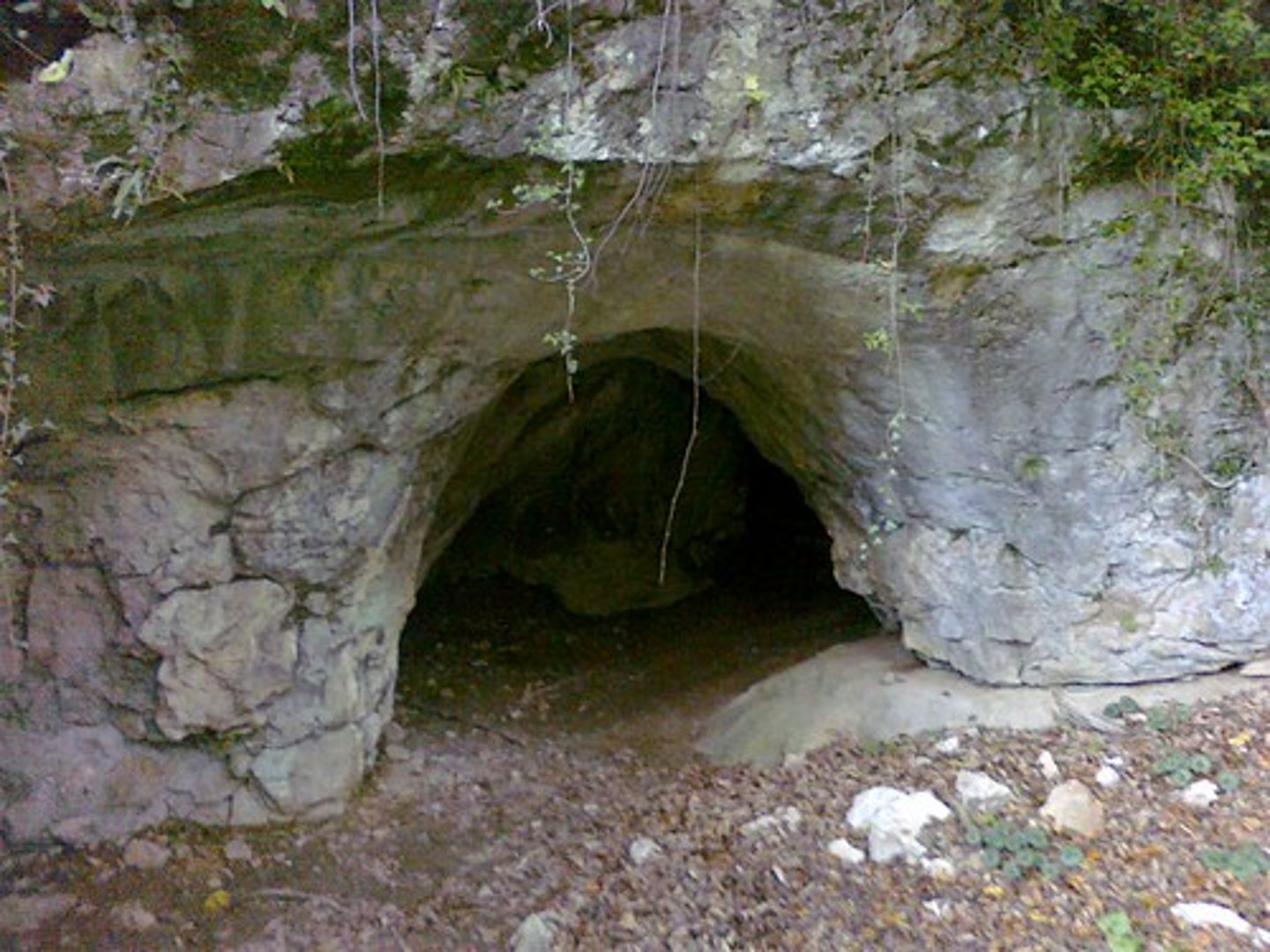 <p>cave</p>