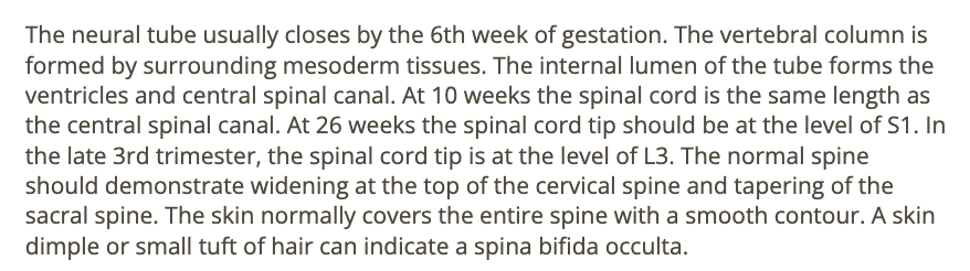 <p>c) a skin dimple on the back marks the tip of normal spinal cord</p>