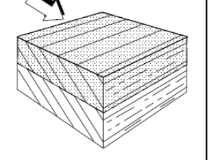 <p>What kind of cross beds are these? What ripples do they form from?</p>