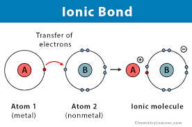 <p><mark data-color="yellow"><strong>transfer of valence electrons</strong></mark></p><ul><li><p>one atom is more electronegative</p></li><li><p>transfer creates ions ( charged particles ) of different charges</p></li><li><p><mark data-color="red">anions ( - charged )</mark> ( have more electrons than protons b/c they gained electrons )</p></li><li><p><mark data-color="green">cations ( + charged</mark> ) ( have more protons than electrons b/c they lost electrons )</p></li><li><p>Opposites attract : Cations and anions are attracted to each other</p></li><li><p>the strength is affect by environment : ionic bonds become weak in cells</p></li><li><p><strong>between atoms</strong></p></li></ul>