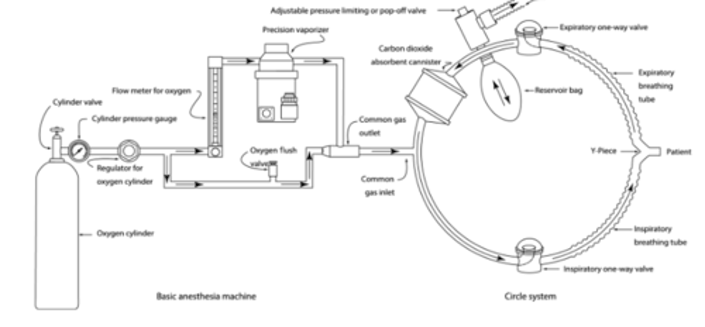 <p>A. Supply: Pipeline, cylinders, regulators</p><p>B. Processing: Flowmeters and vaporizer</p><p>C. Delivery: Breathing circuits and ventilators</p><p>D. Disposal: Scavenging system</p>
