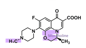 <ul><li><p>contains <strong>morpholine</strong> ring</p><ul><li><p>broad spectrum activity compared to ciprofloxacin </p></li></ul></li><li><p>is the S-enantiomer of ofloxacin </p></li><li><p>more lipophilic than ciprofloxacin </p></li><li><p><strong>oral </strong>and <strong>parenteral</strong></p></li></ul>
