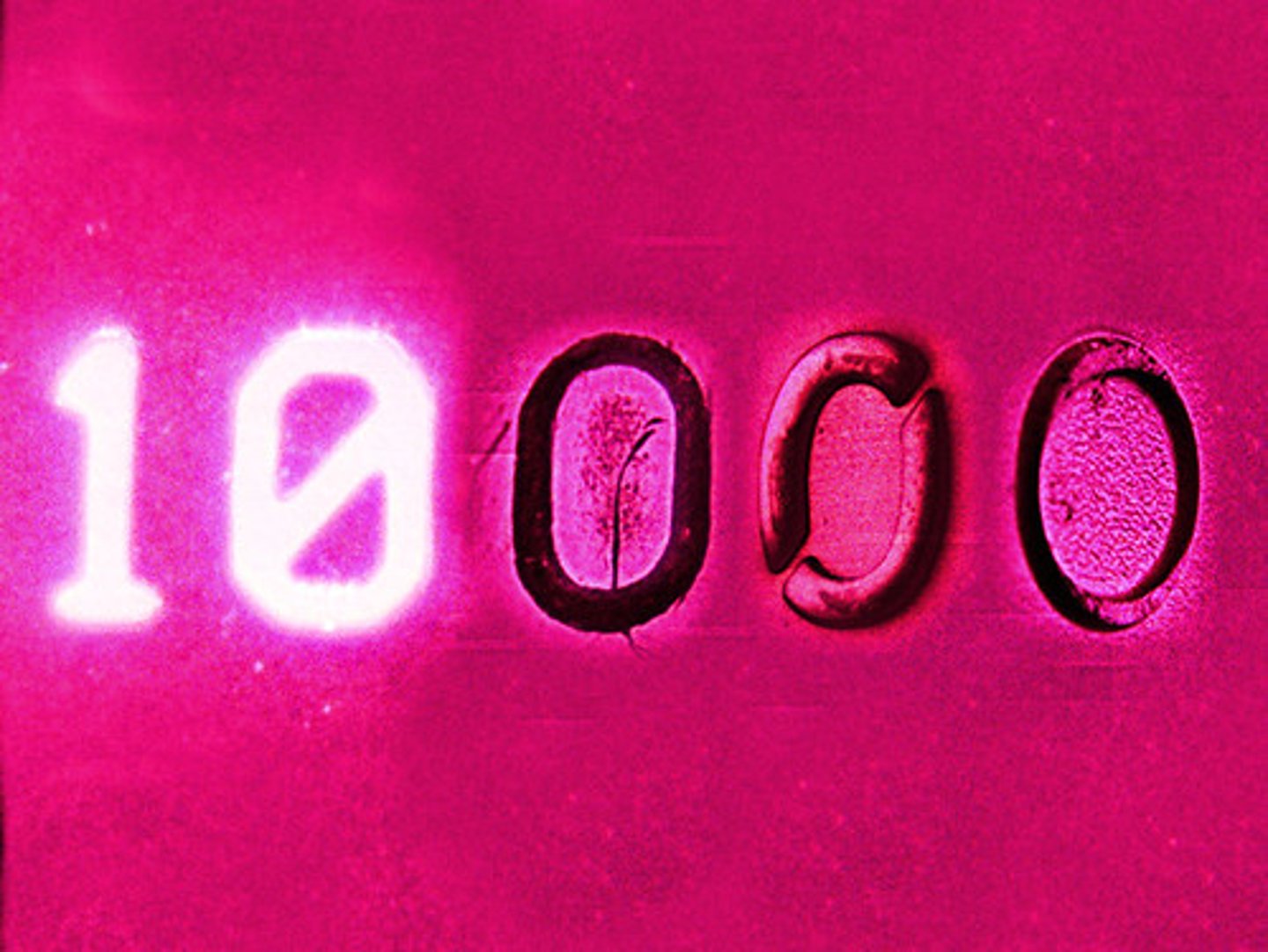 <p>10000 (nº chino)</p>