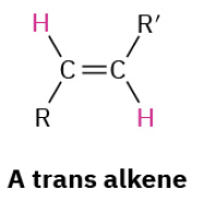 <p>Giver trans ift lindlar der giver cis</p>