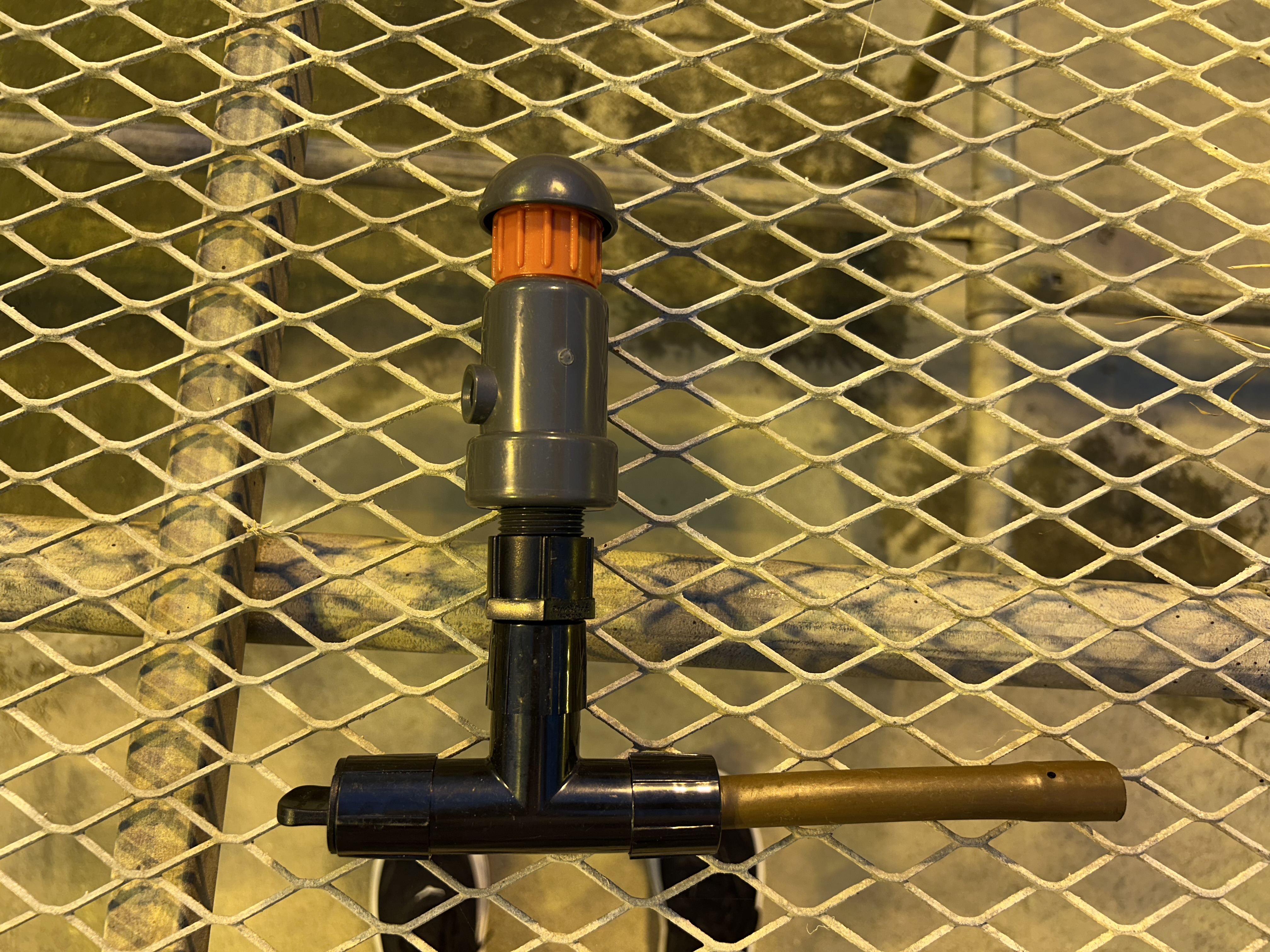 <p>What is this?</p>