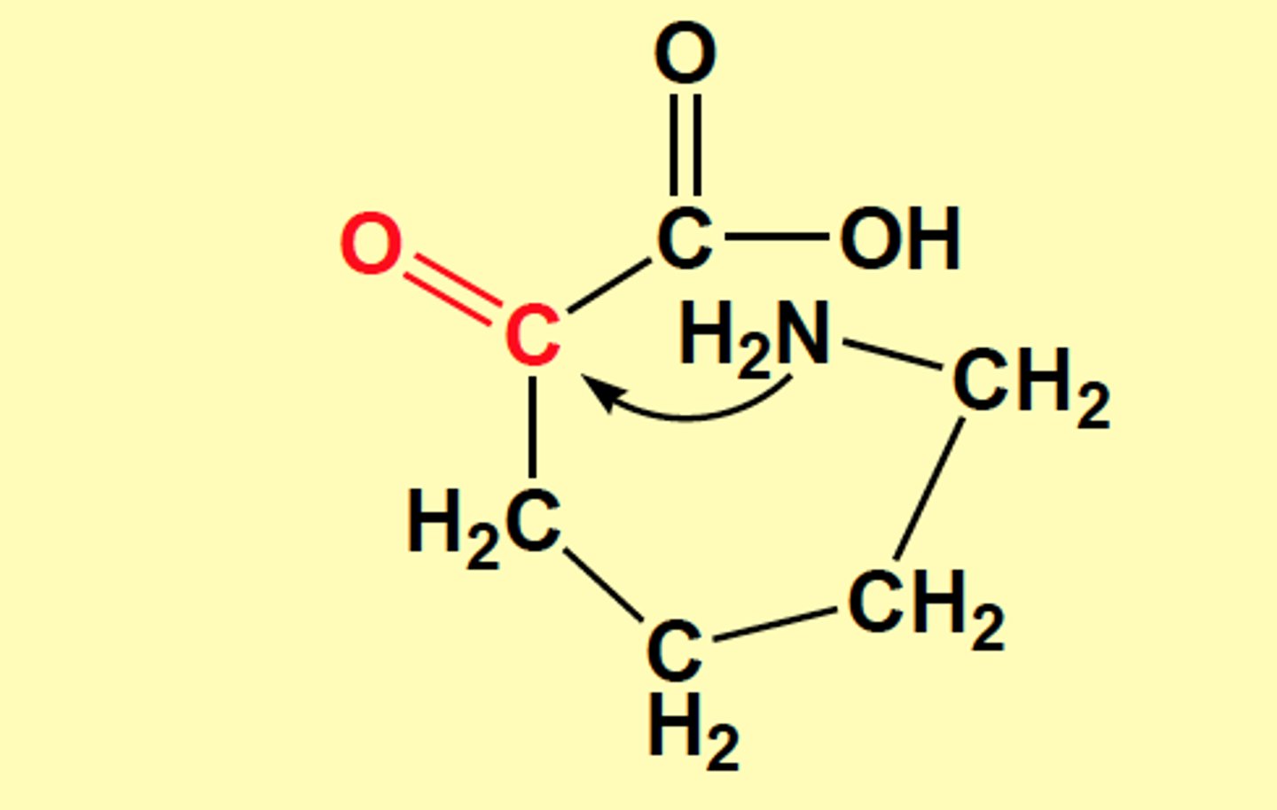 <p>lysine<br><br>N of NH2 attacks carbonyl</p>